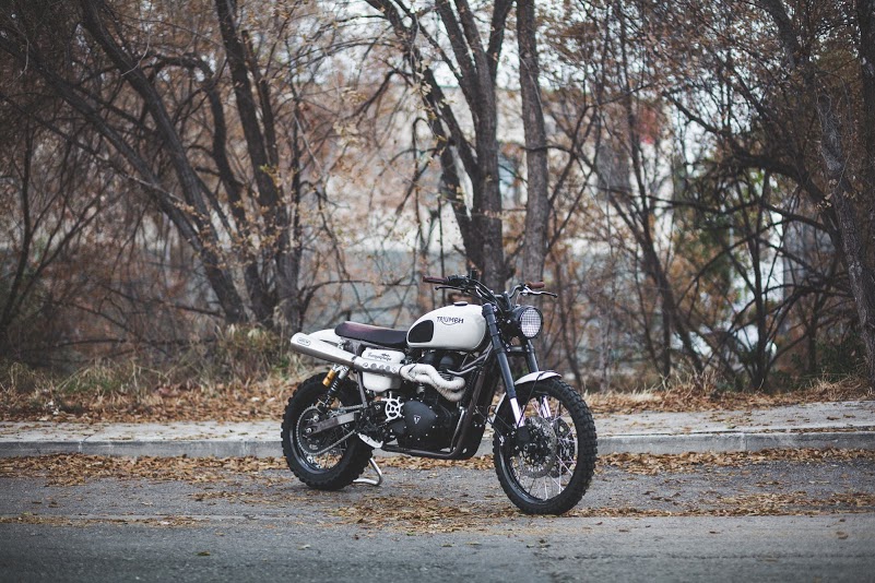 Triumph Scrambler