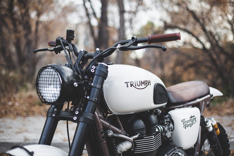 Triumph Scrambler